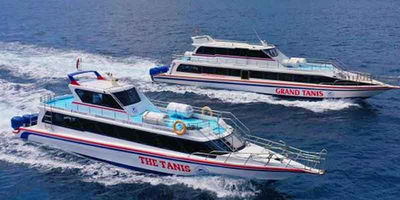 The Tanis Express